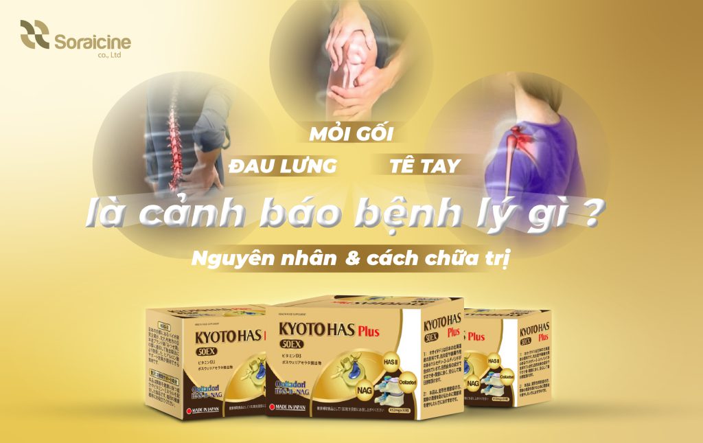 Đau Lưng, Mỏi Gối, Tê Tay Là Cảnh Báo Bệnh Lý Gì? Nguyên Nhân, Cách Chữa Trị