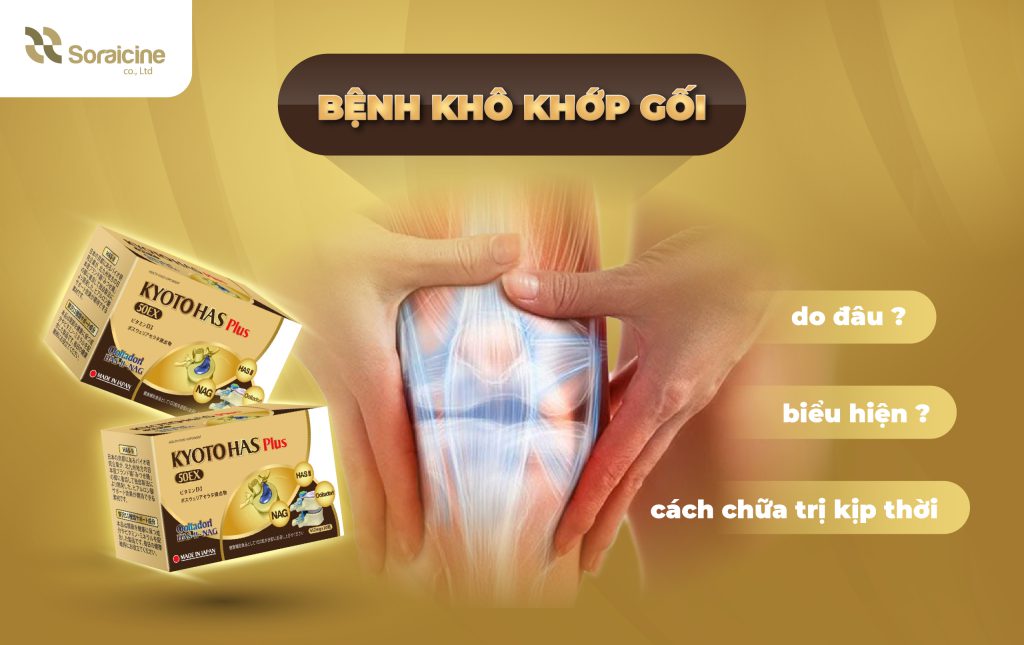 Bệnh Khô Khớp Gối Do Đâu? Biểu Hiện Và Cách Điều Trị Kịp Thời