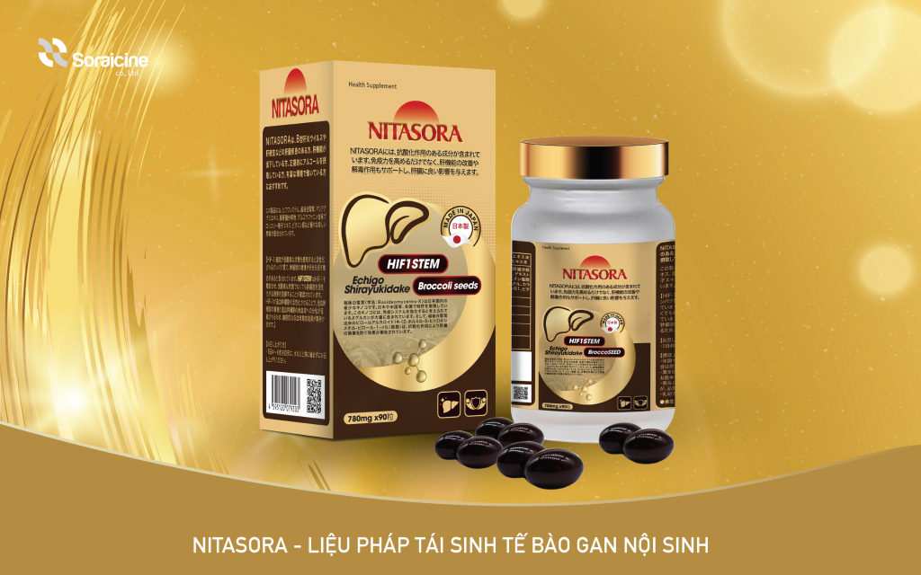 Nitasora hỗ trợ điều trị các bệnh lý về gan