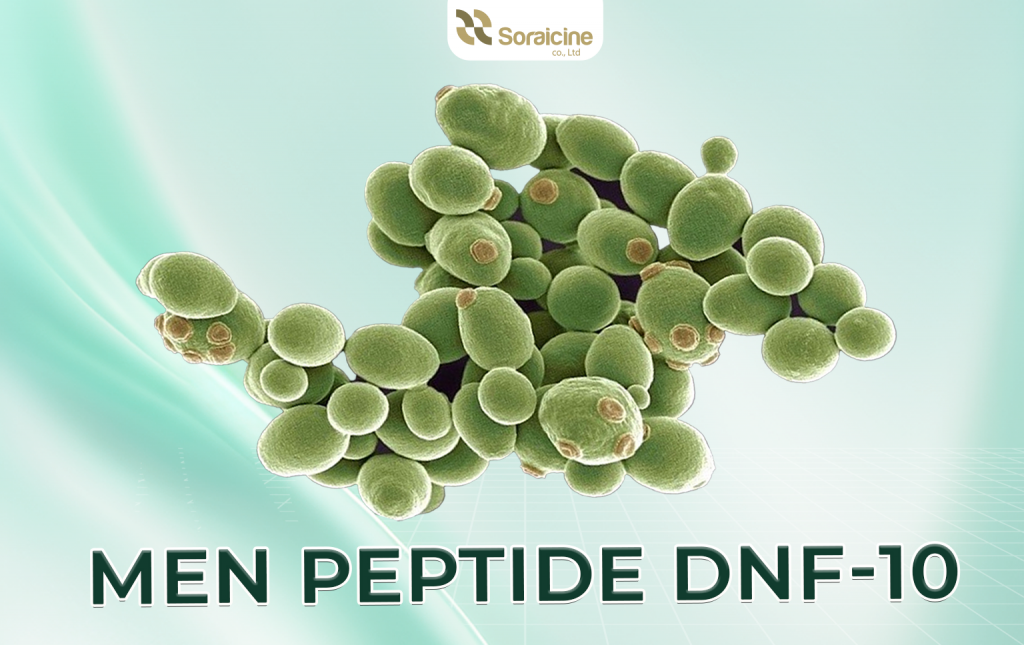 Men Peptide DNF-10