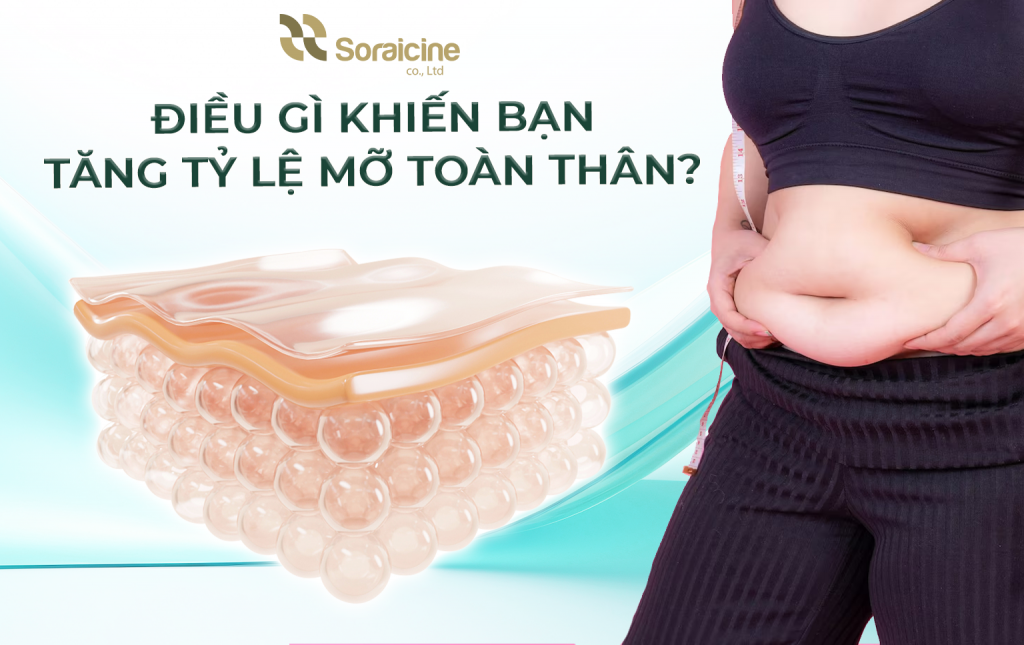 Điều gì khiến bạn tăng tỷ lệ mỡ toàn thân?