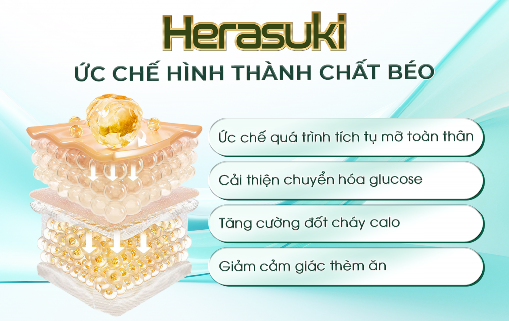 Herasuki ức chế hình thành chất béo